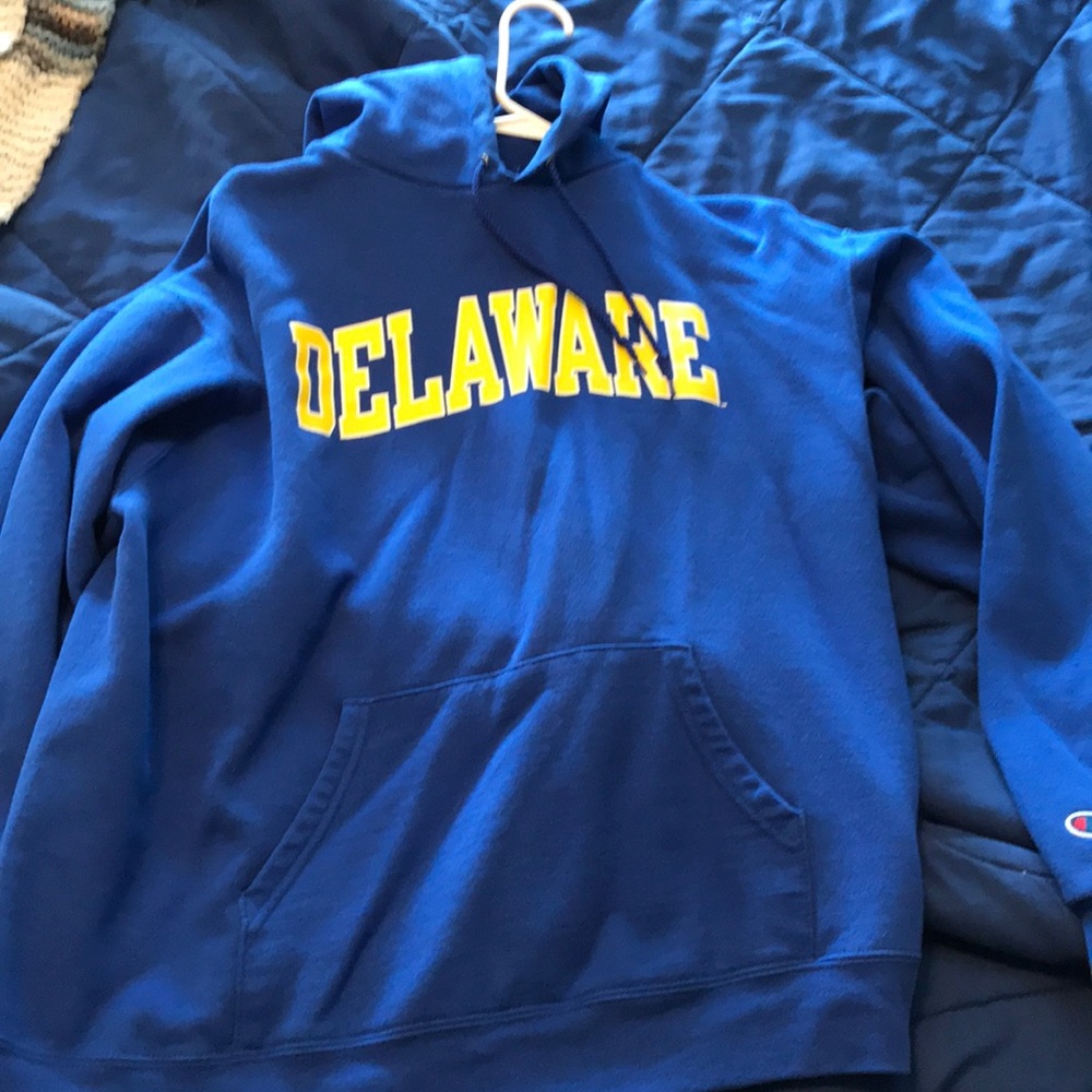 Delaware Champion hoodie